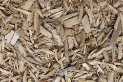 biomass boilers Chettiscombe